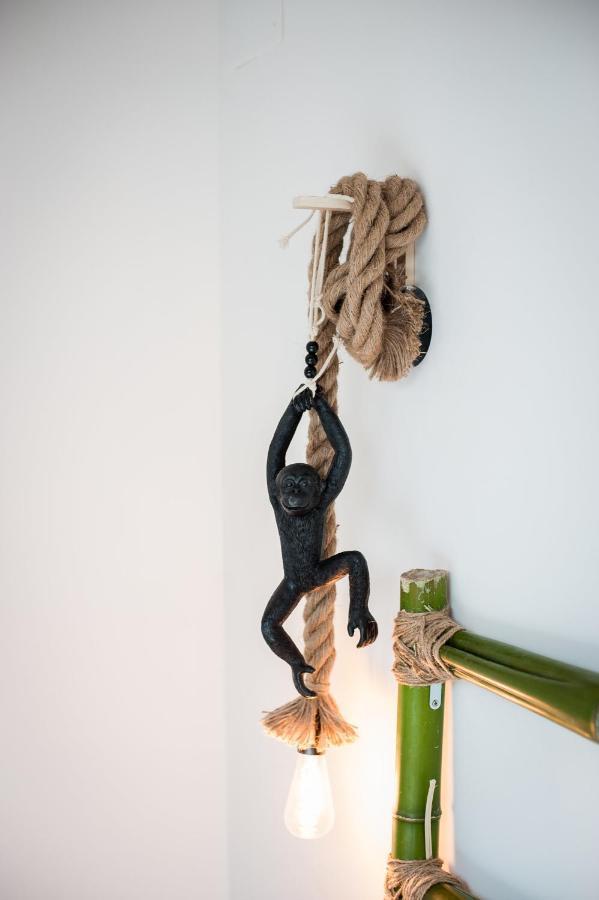 Douce Parenthese A Carcassonne Apartment Exterior foto